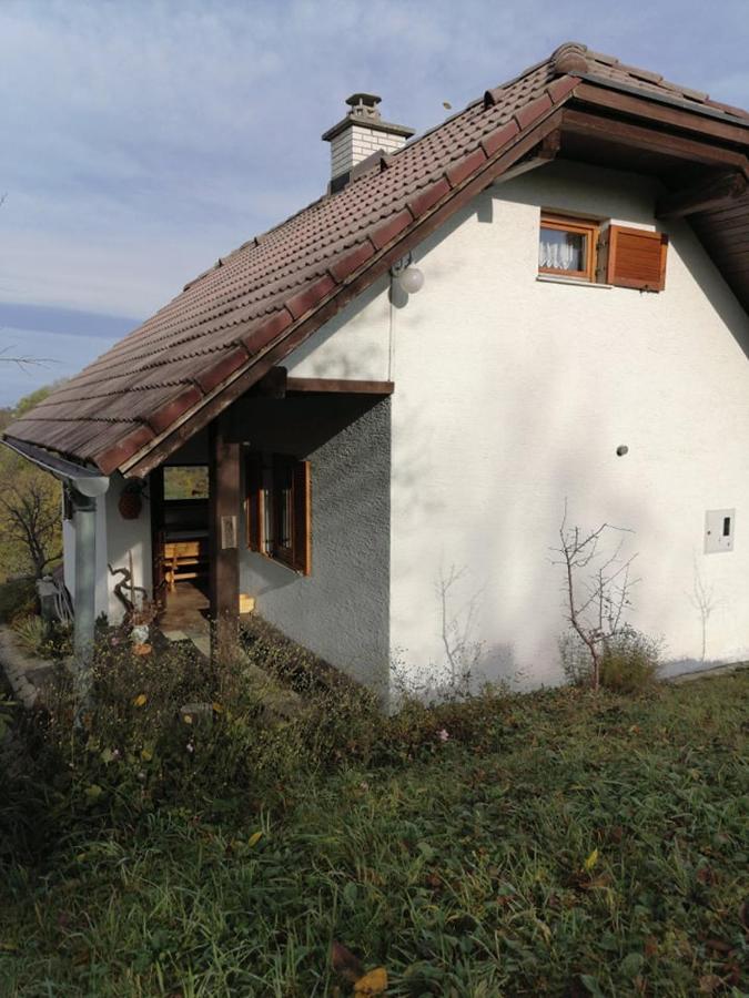 Apartma Pusa Pesnica pri Mariboru Exterior photo
